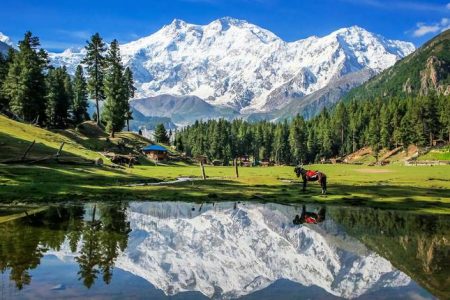 5 Days Trip to Fairy Meadows, Beyal Camp & Naran Valley